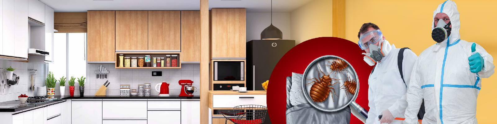 exterminator near me